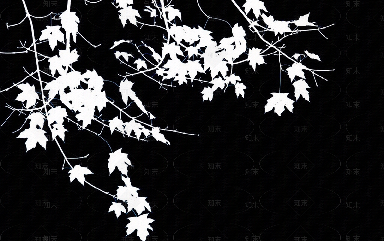 现代树影贴图下载【ID:1202361890】