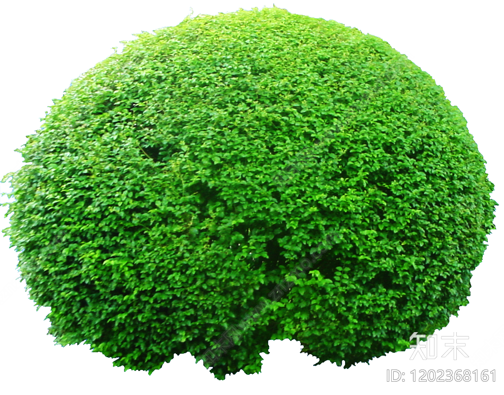 现代中式灌木下载【ID:1202368161】