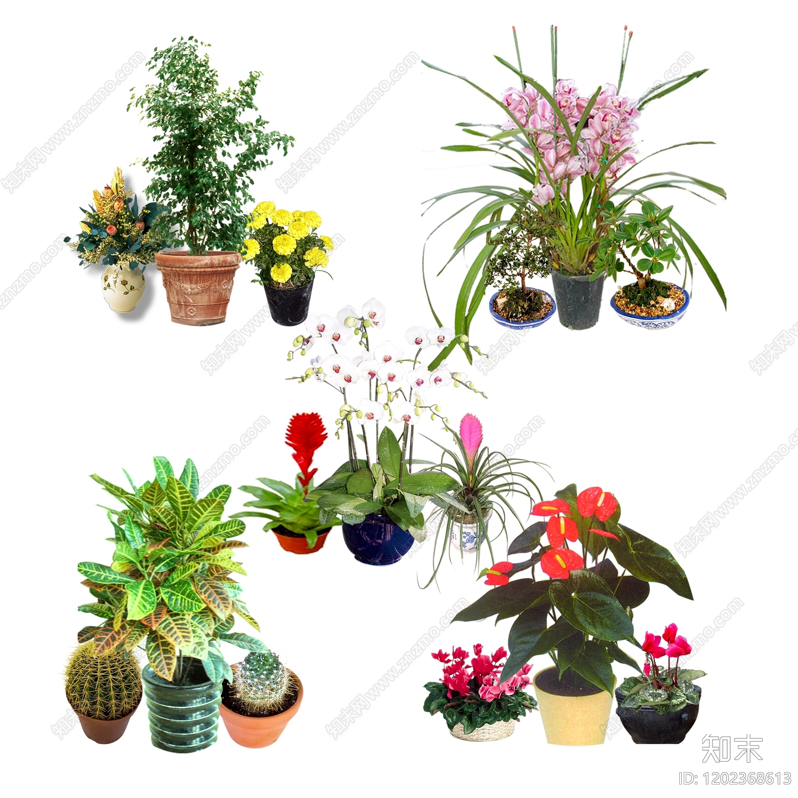 现代美式盆栽下载【ID:1202368613】