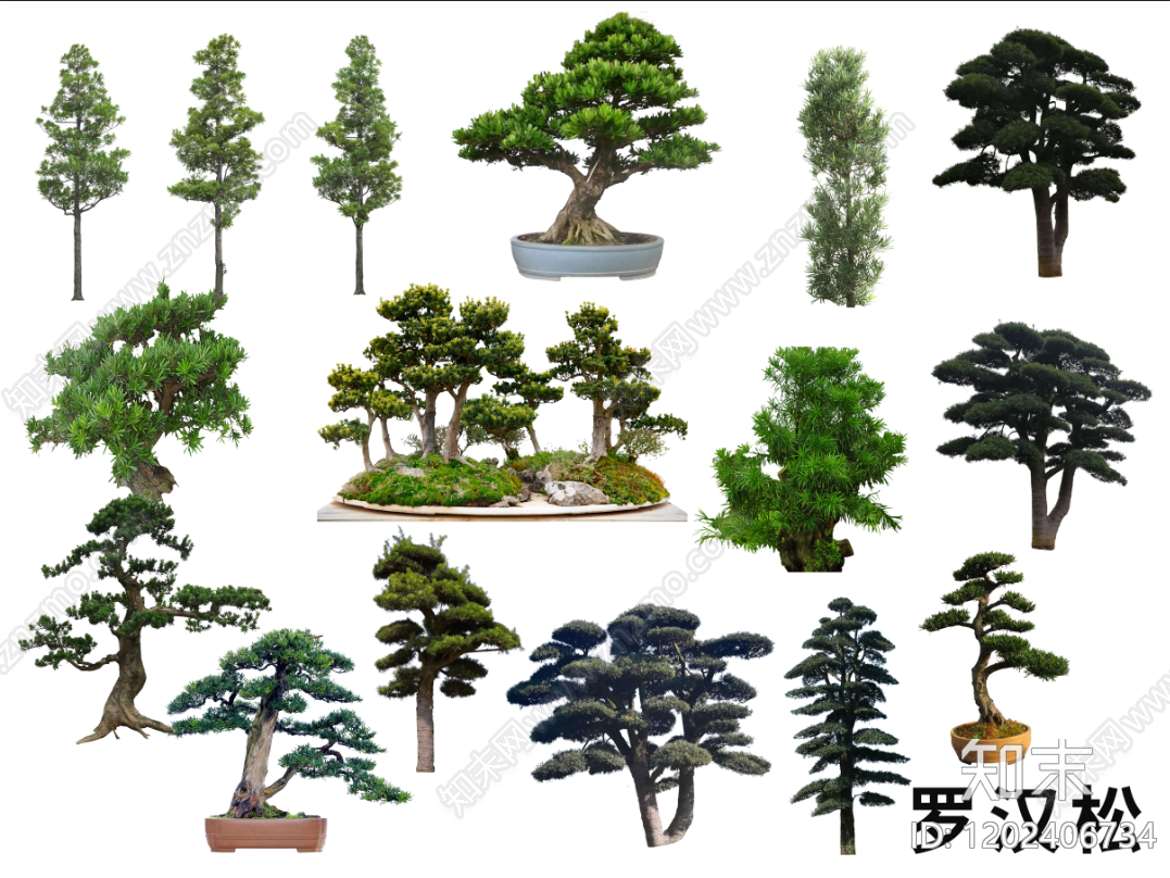 新中式中式盆栽下载【ID:1202406734】