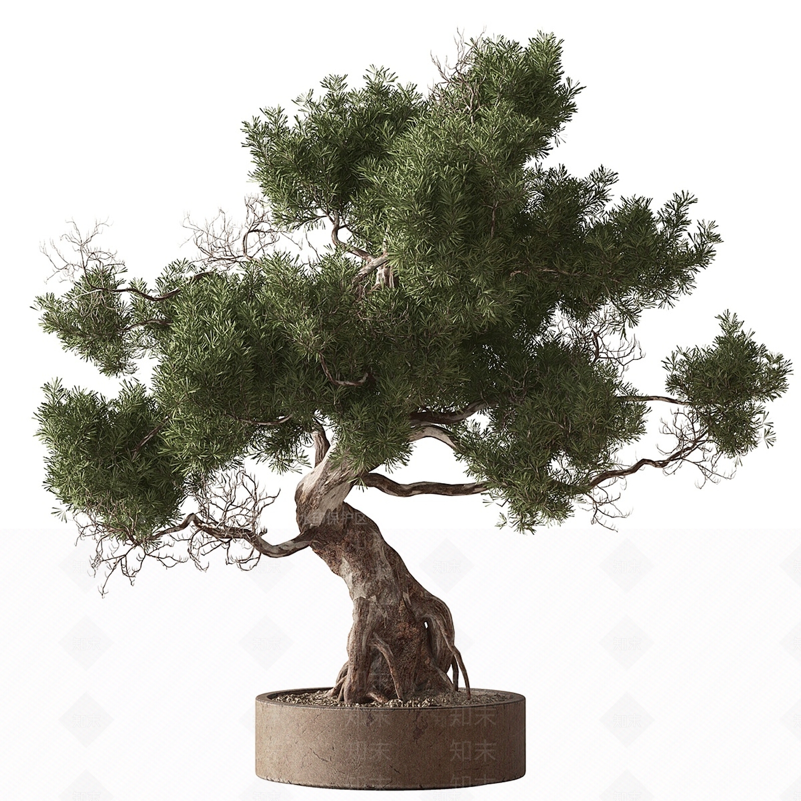 盆栽3D模型下载【ID:1202452640】