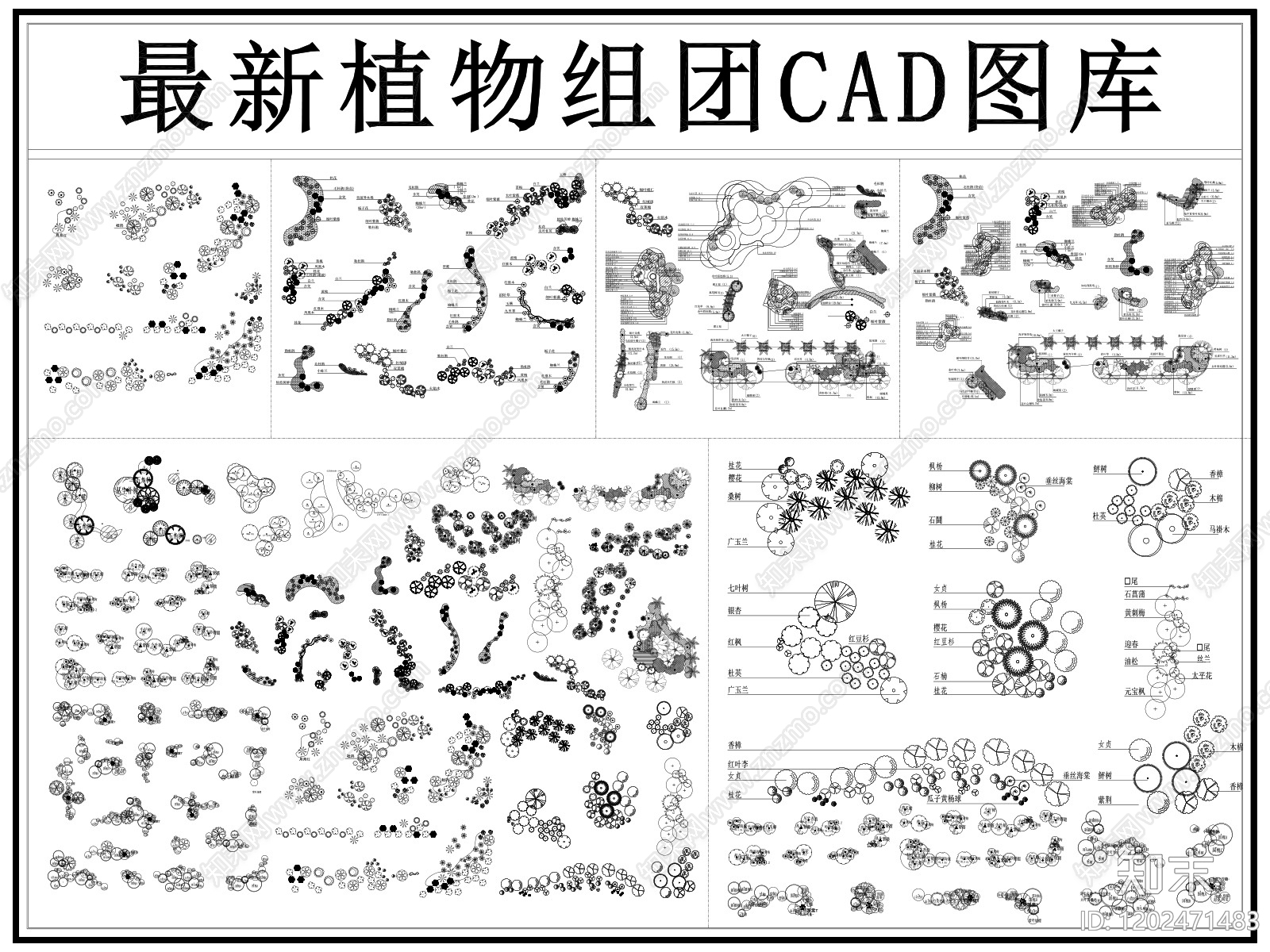 现代植物配置图库施工图下载【ID:1202471483】