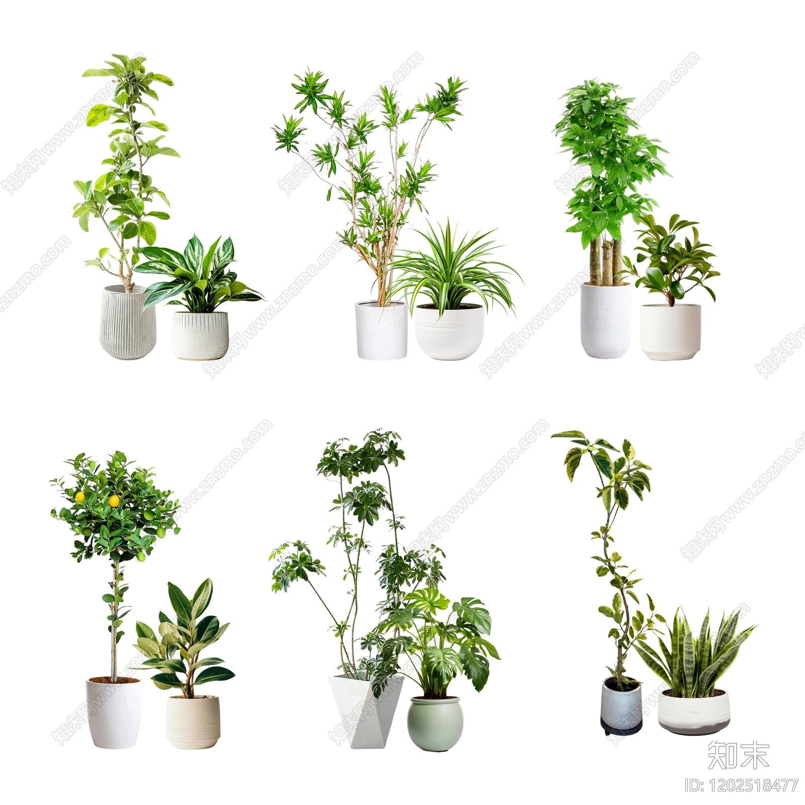 现代中式盆栽下载【ID:1202518477】