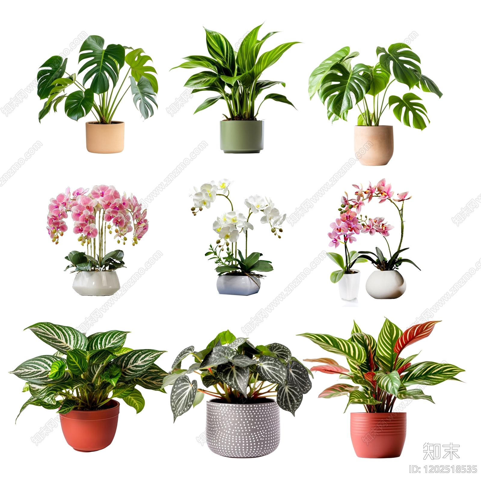 现代复古盆栽下载【ID:1202518535】