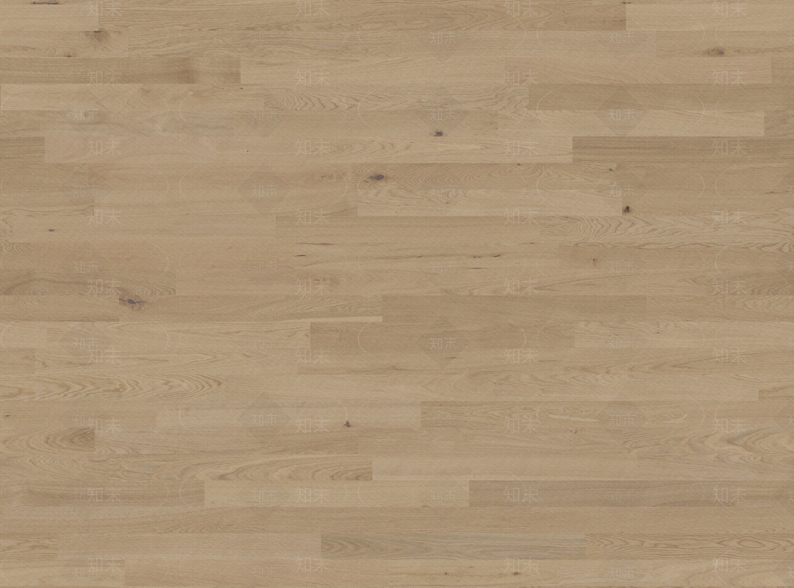 现代奶油其他木地板贴图下载【ID:1202521045】