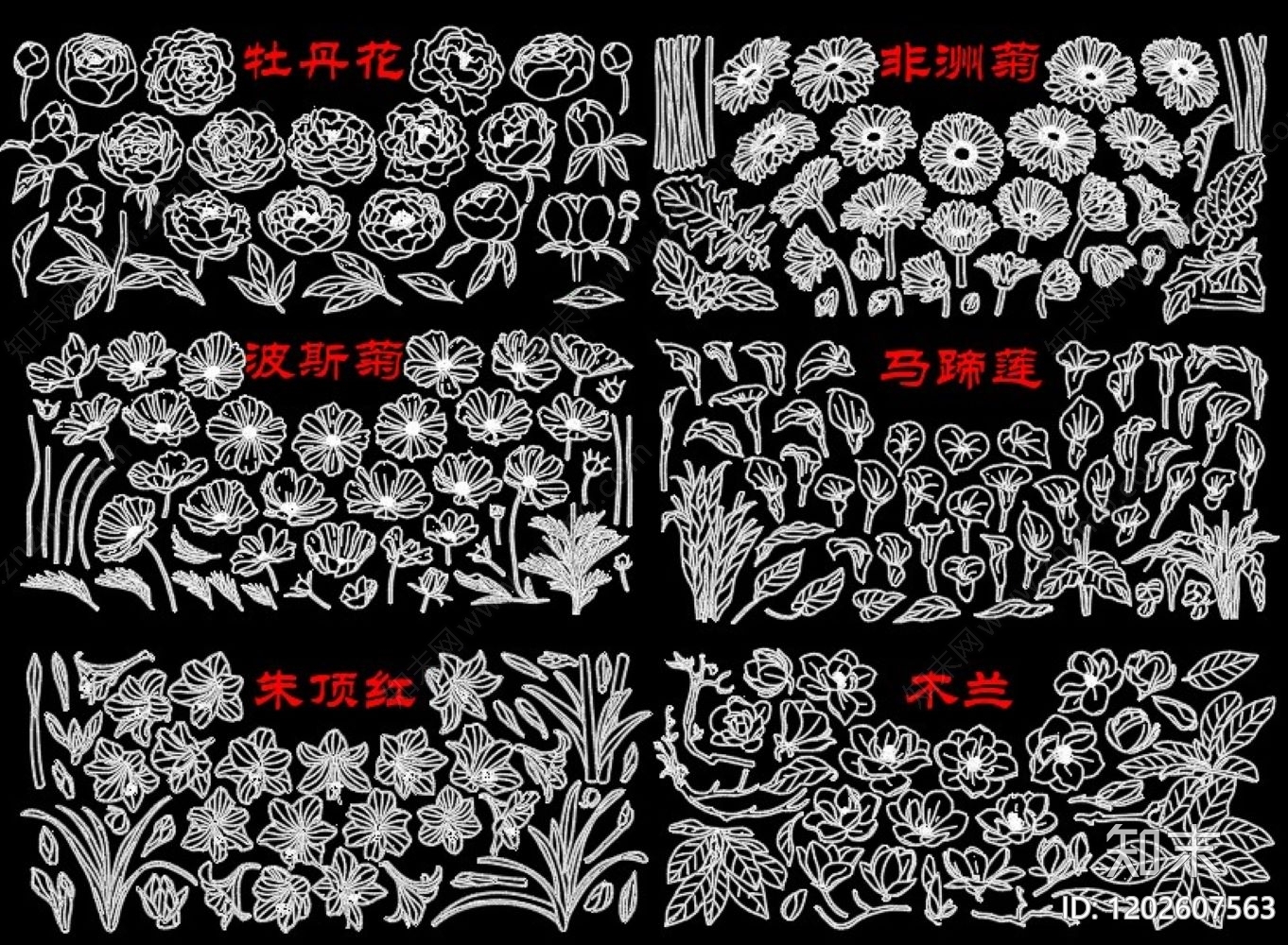 现代花cad施工图下载【ID:1202607563】