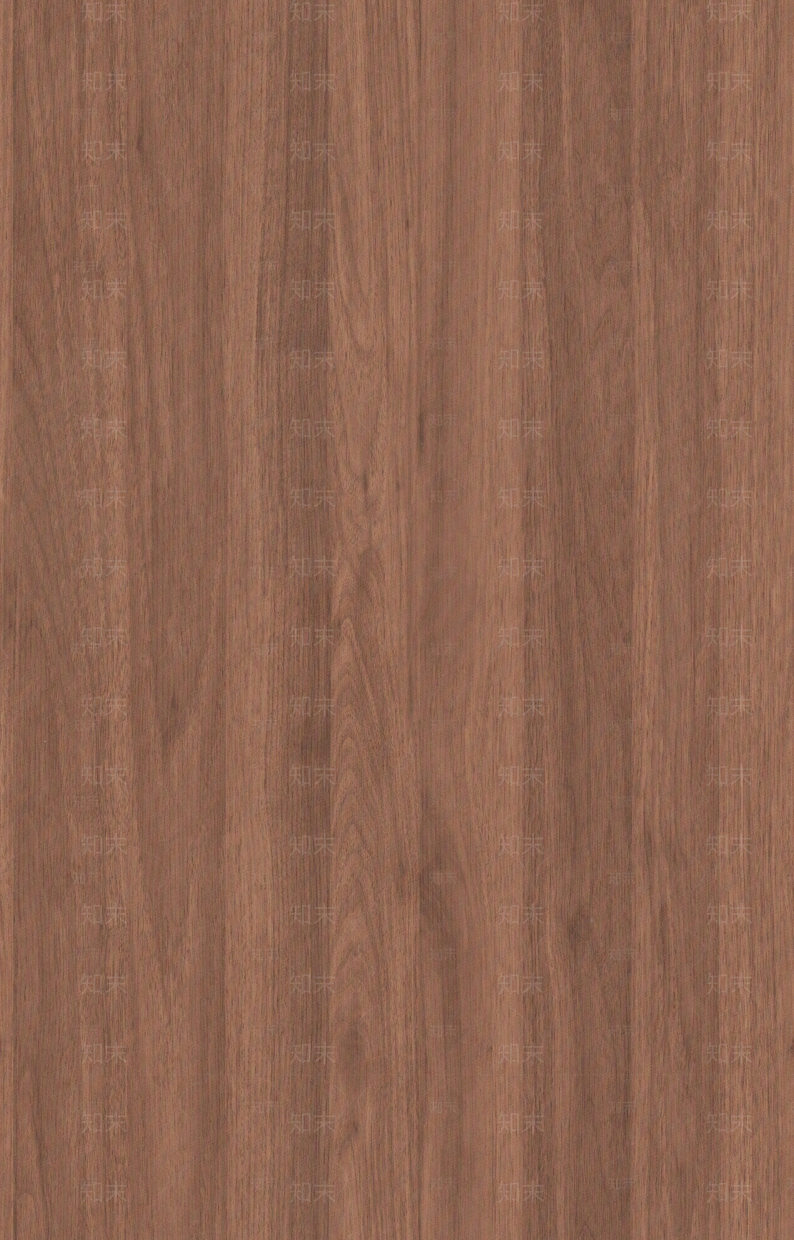 现代法式胡桃木贴图下载【ID:1202648339】