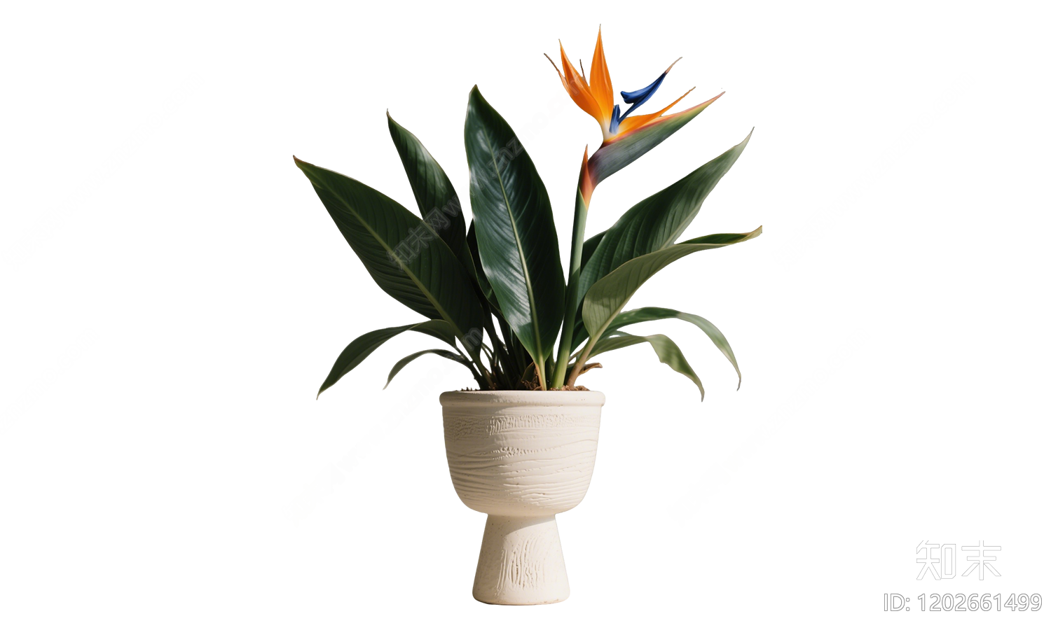 现代极简盆栽下载【ID:1202661499】