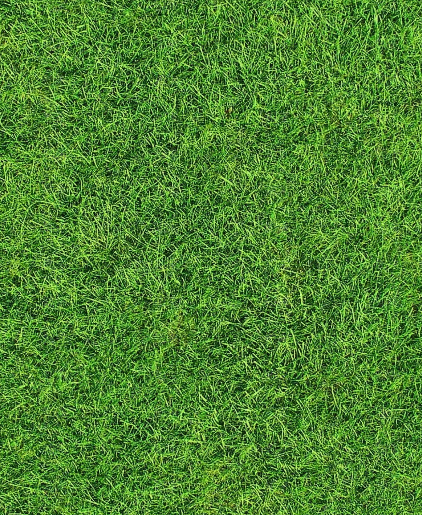 现代人造草坪贴图下载【ID:1202677435】