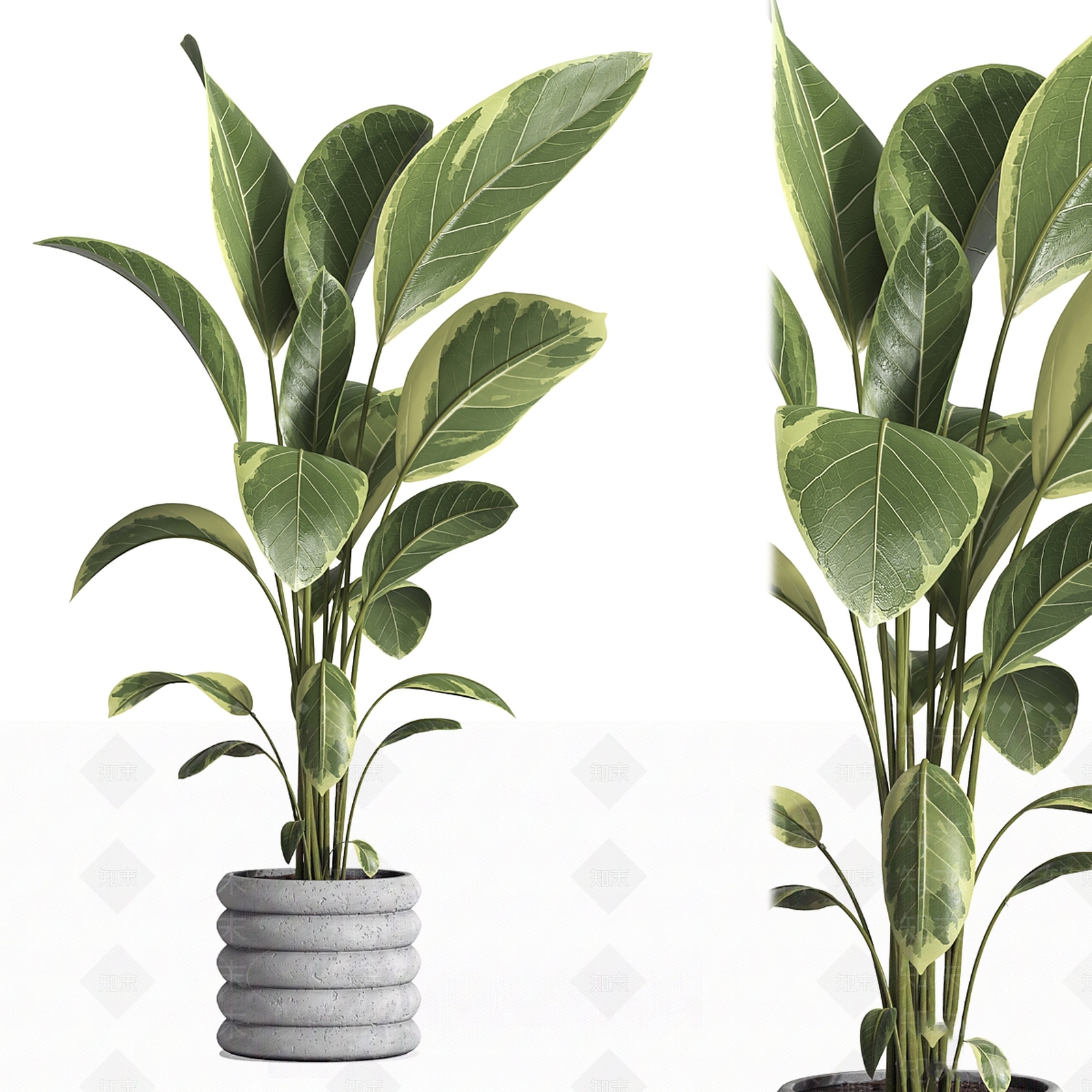 盆栽3D模型下载【ID:1202766010】