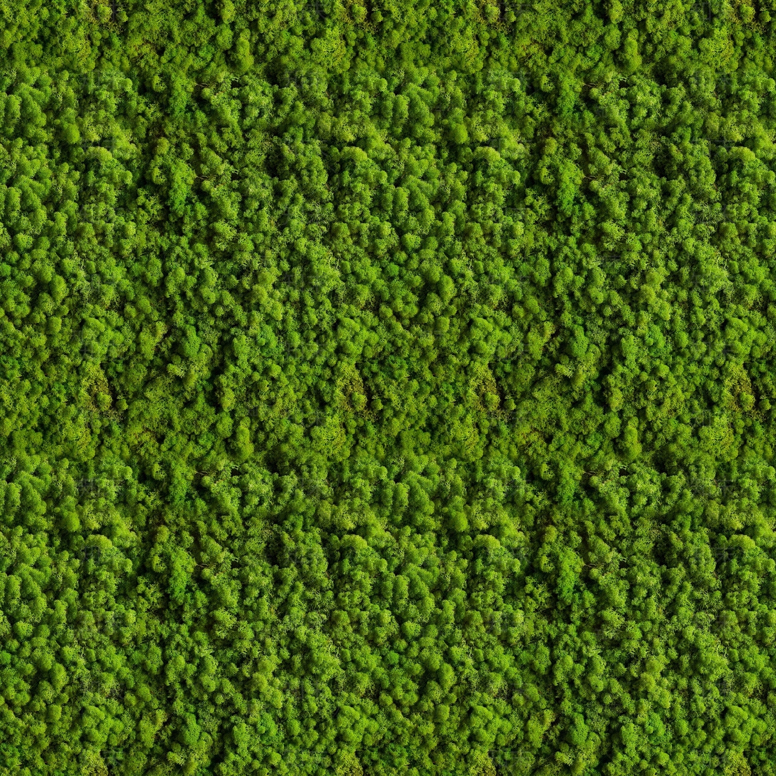 现代人造草坪贴图下载【ID:1202806384】