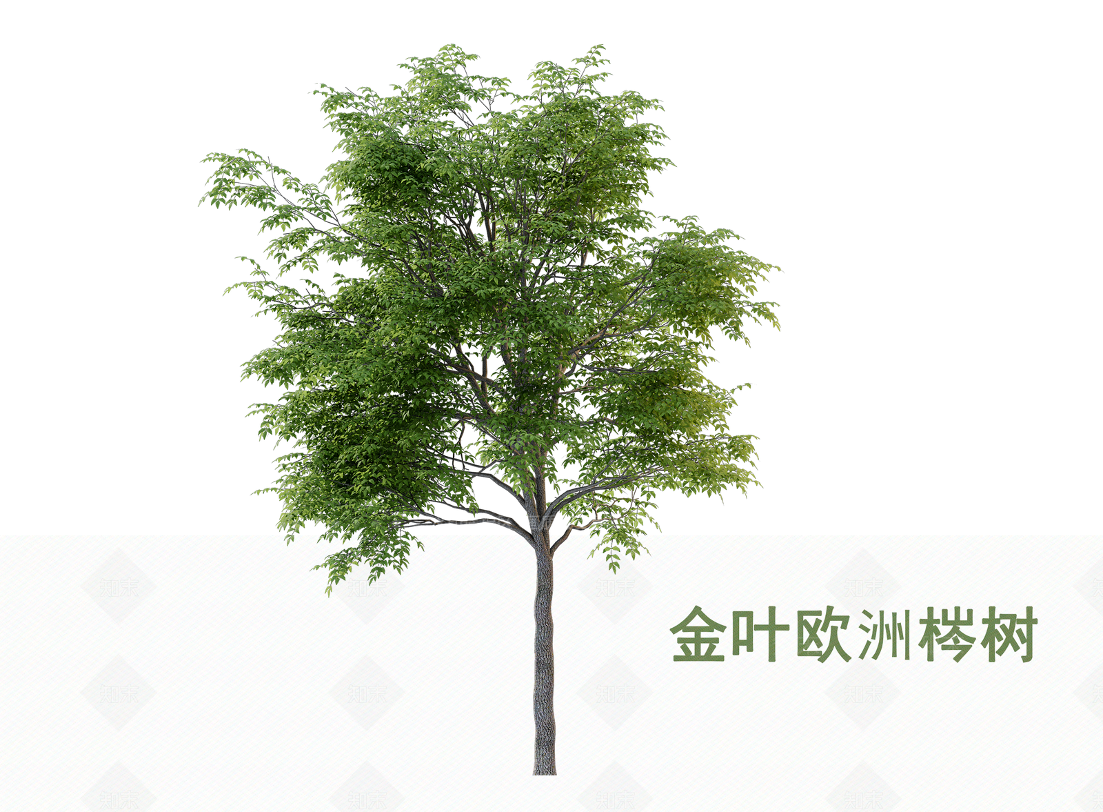 灌木3D模型下载【ID:1202848583】