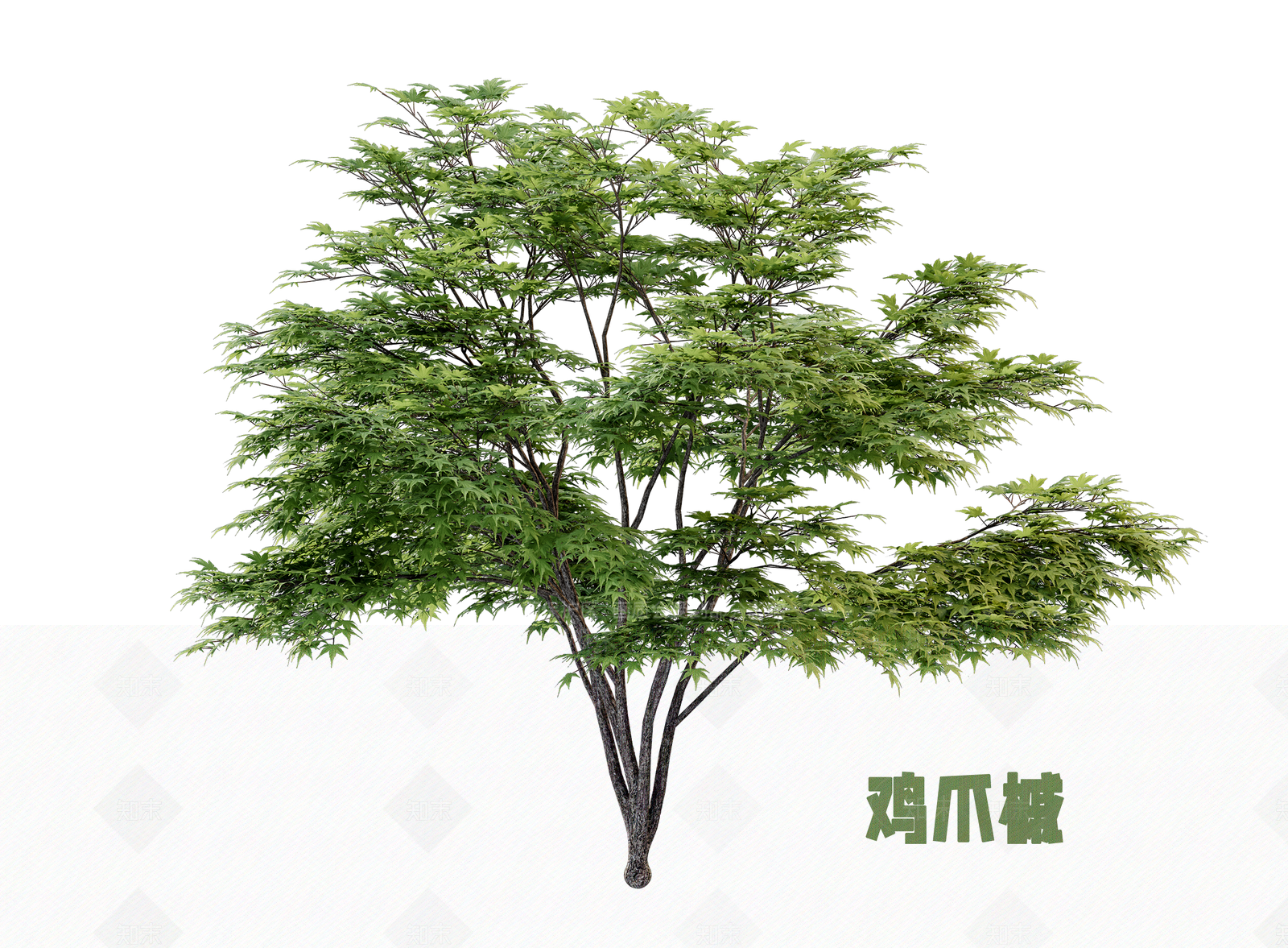 灌木3D模型下载【ID:1202849203】