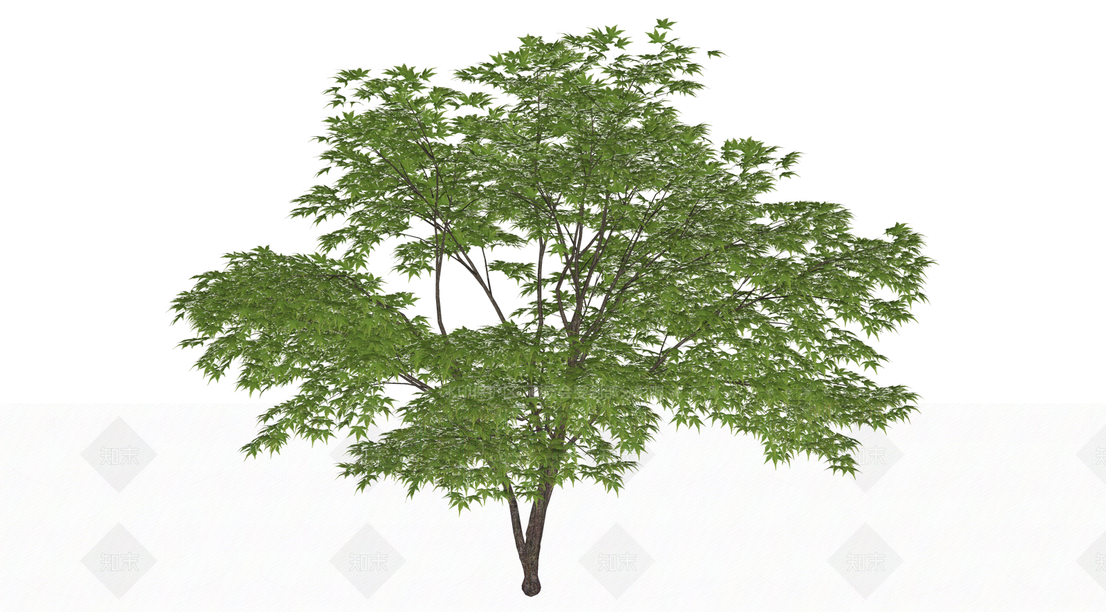 灌木SU模型下载【ID:1202849247】