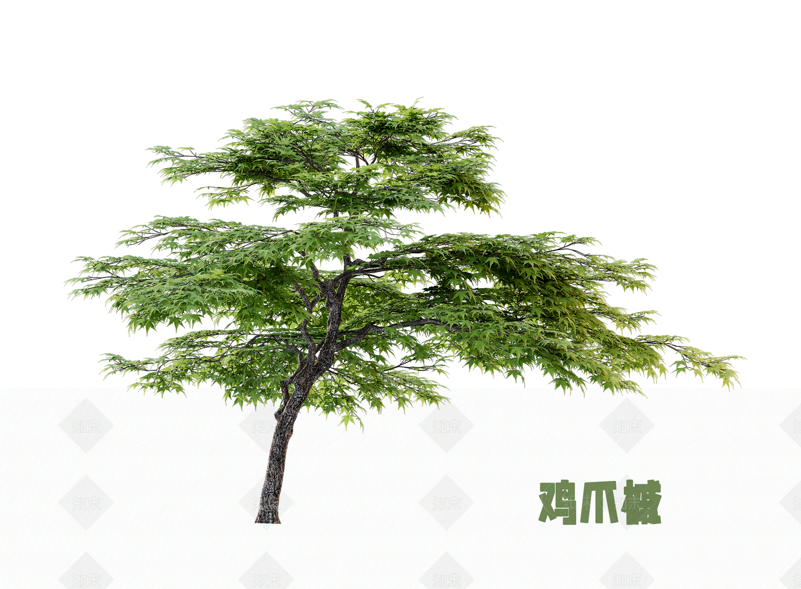 灌木SU模型下载【ID:1202849376】