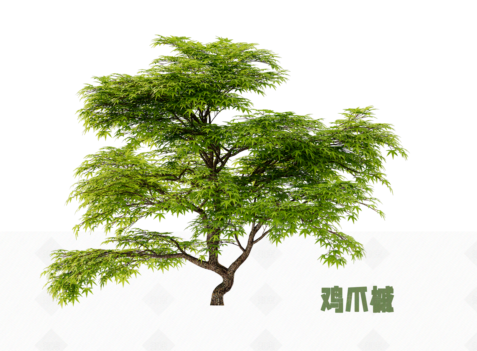 灌木SU模型下载【ID:1202891819】
