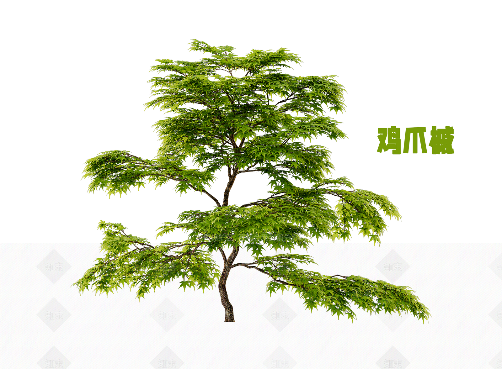 灌木3D模型下载【ID:1202849526】