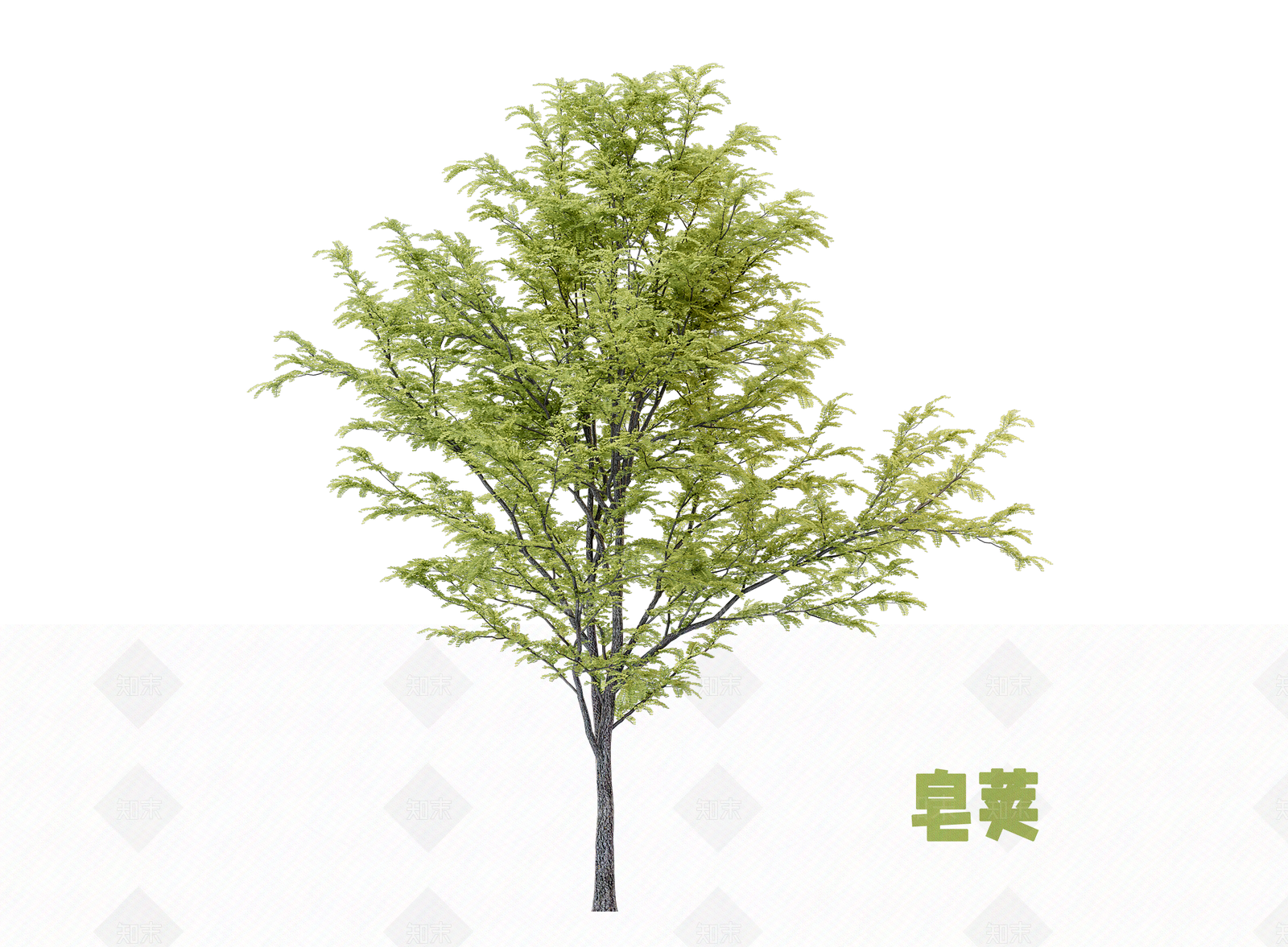 乔木SU模型下载【ID:1202874680】