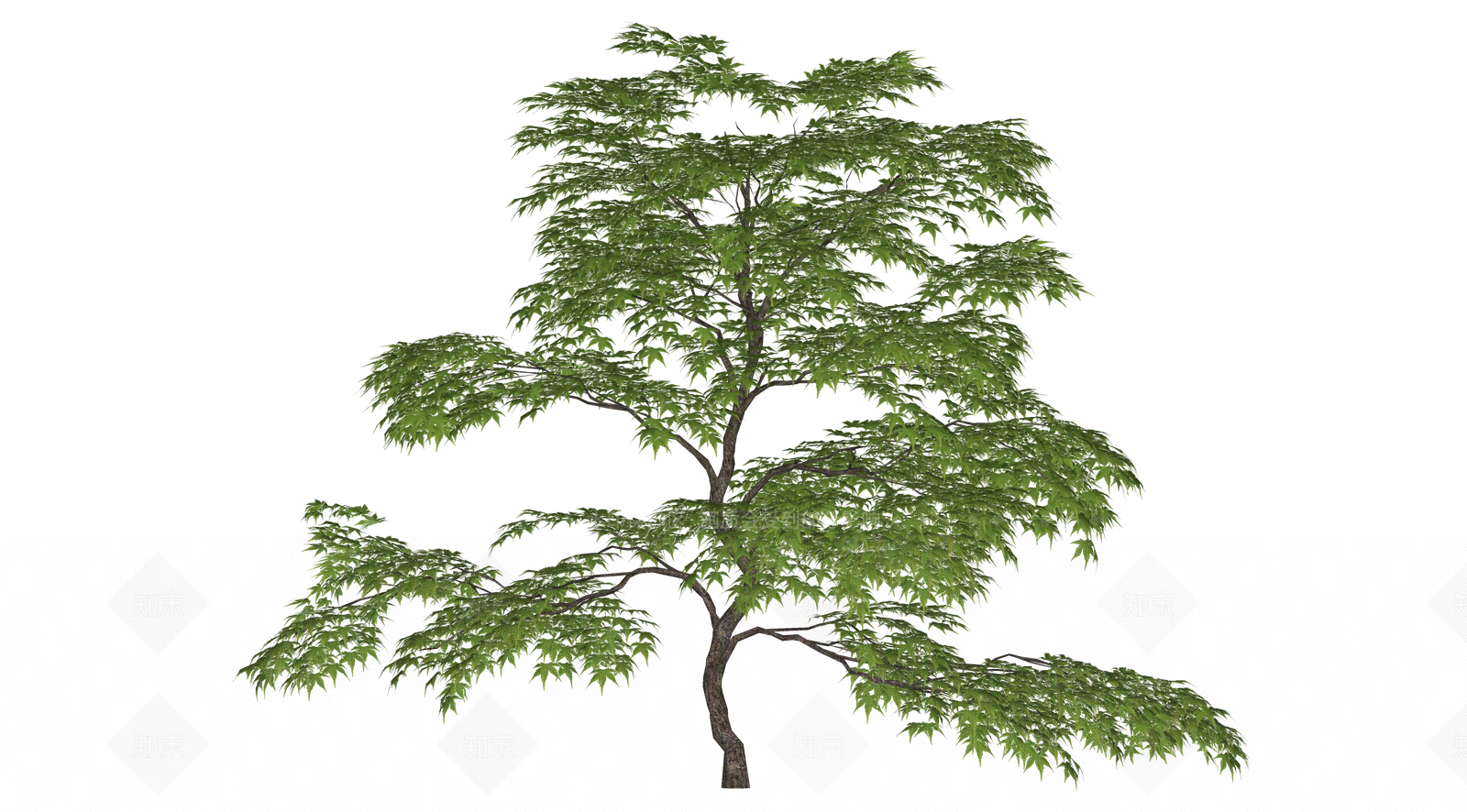 灌木SU模型下载【ID:1202891903】