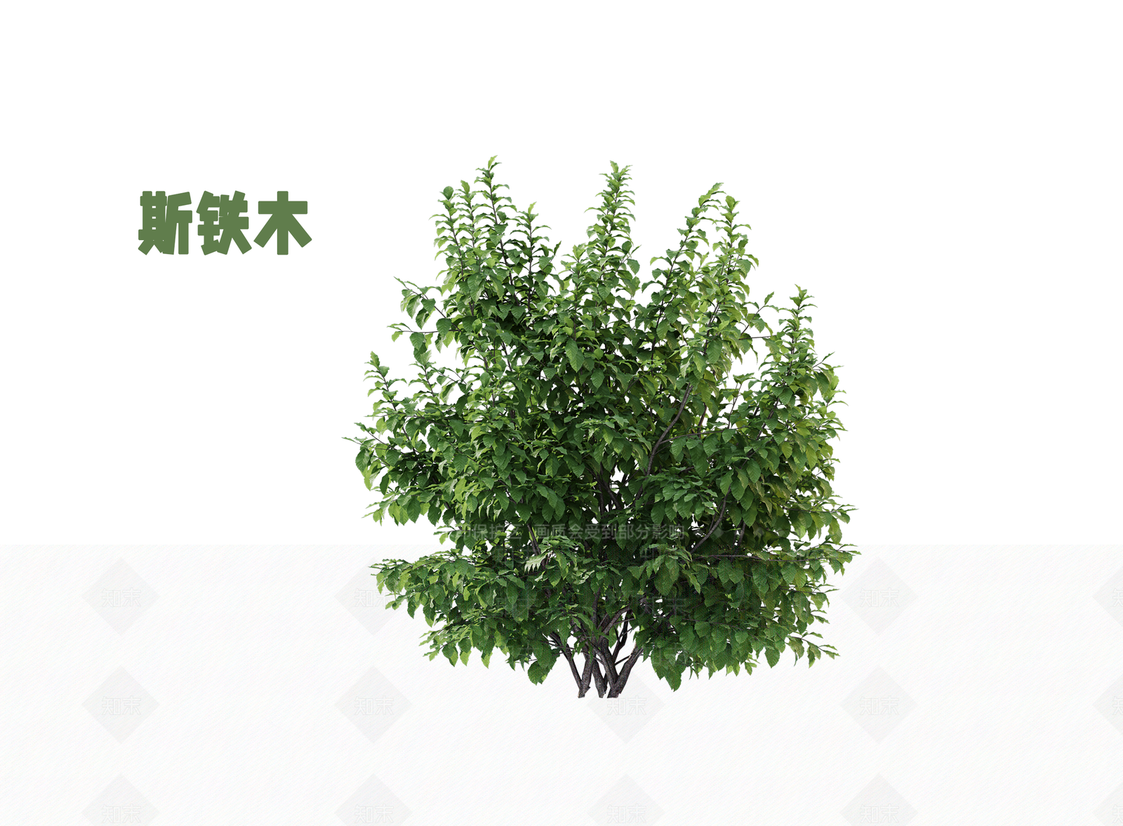 灌木SU模型下载【ID:1202892212】