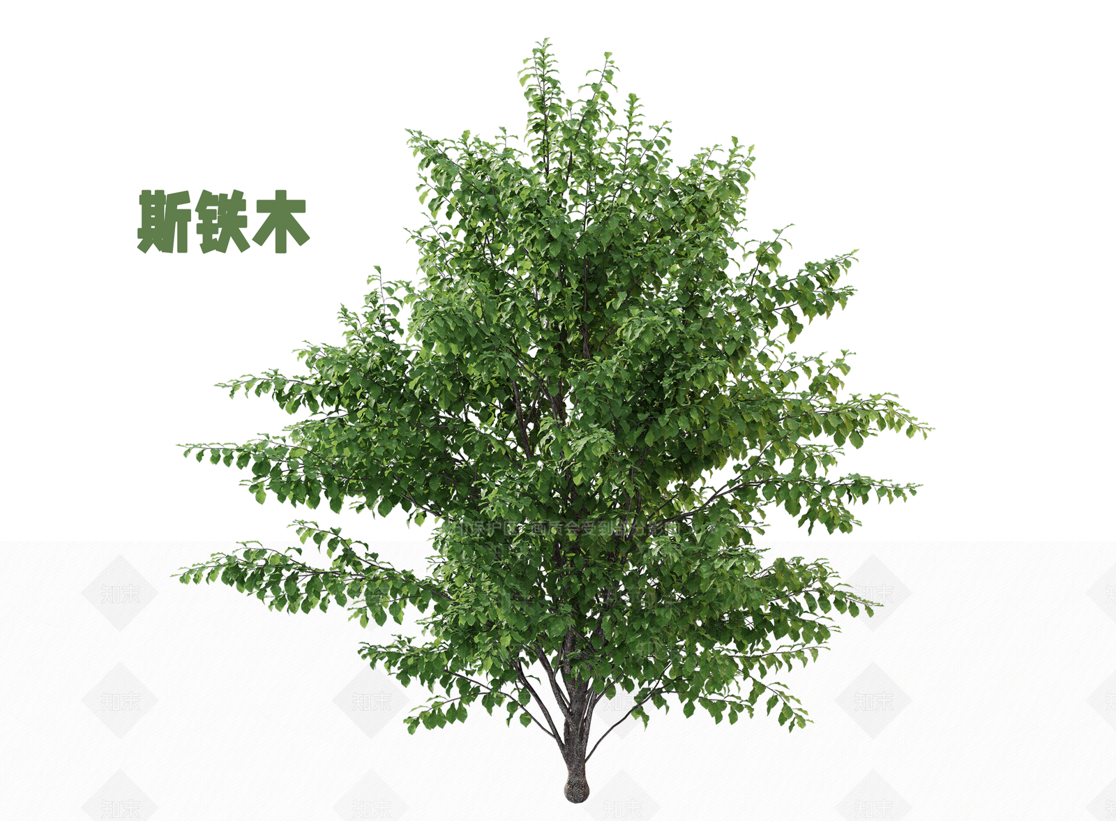 灌木3D模型下载【ID:1202892289】