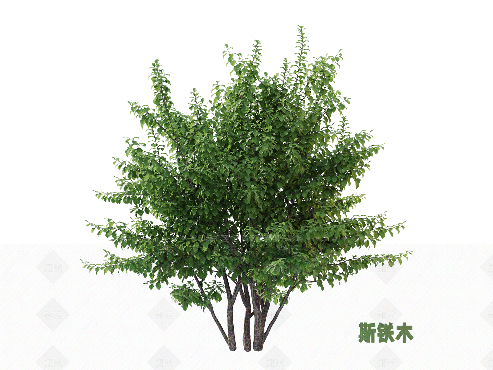 灌木3D模型下载【ID:1202892784】