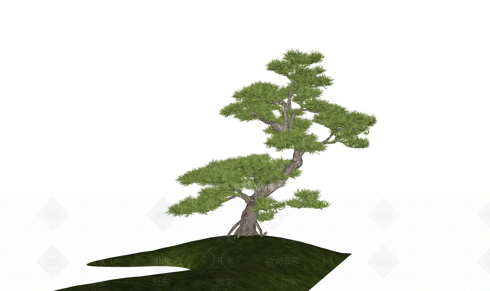 乔木SU模型下载【ID:1203001255】