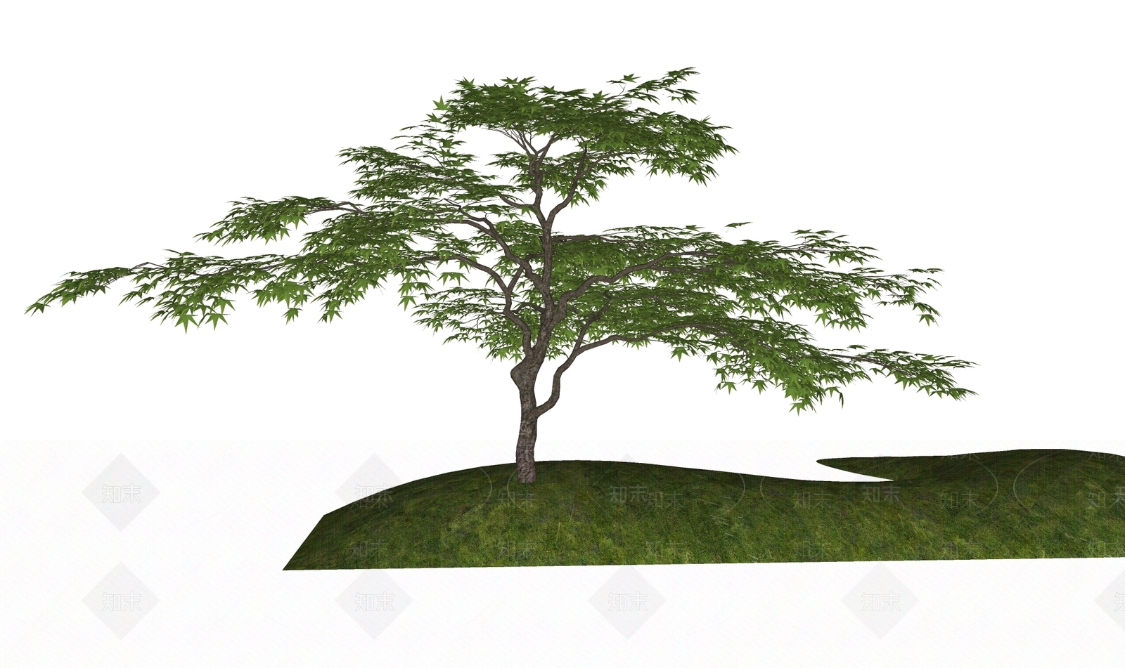 乔木SU模型下载【ID:1203001255】