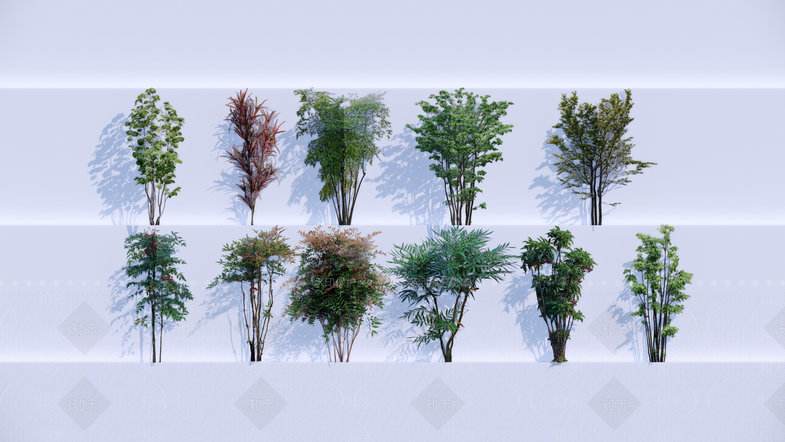 灌木SU模型下载【ID:1203080515】