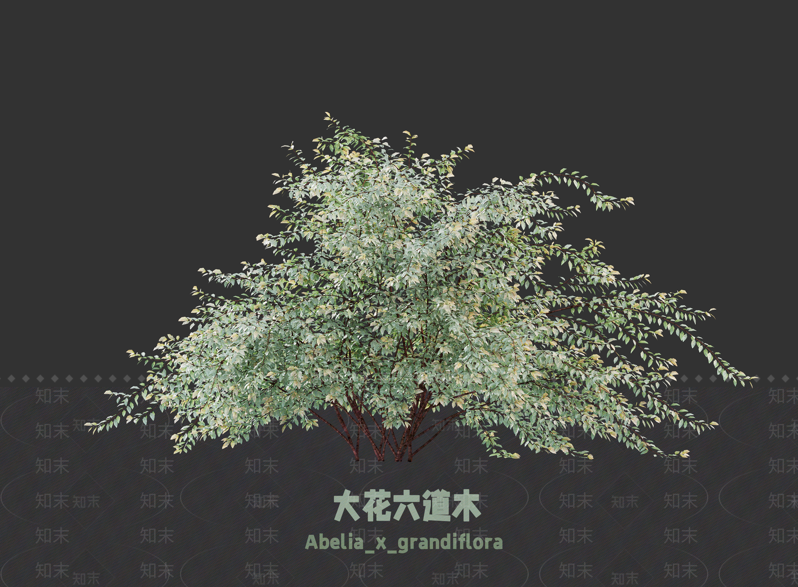 灌木SU模型下载【ID:1203108120】