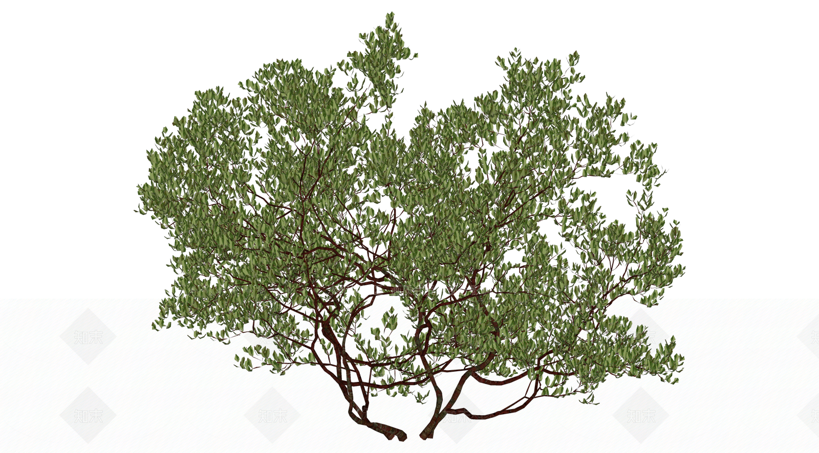 灌木SU模型下载【ID:1203108439】
