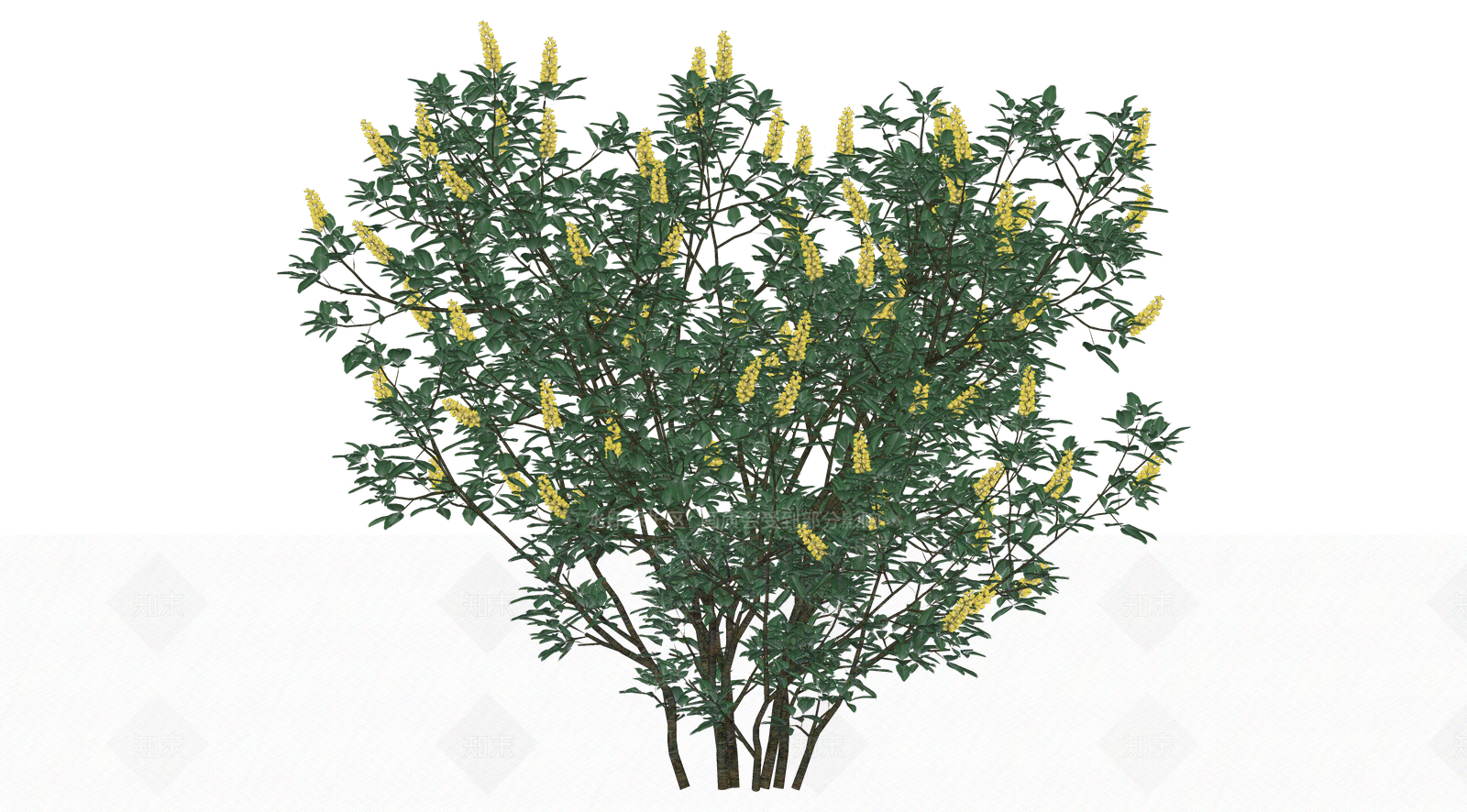 灌木SU模型下载【ID:1203109073】