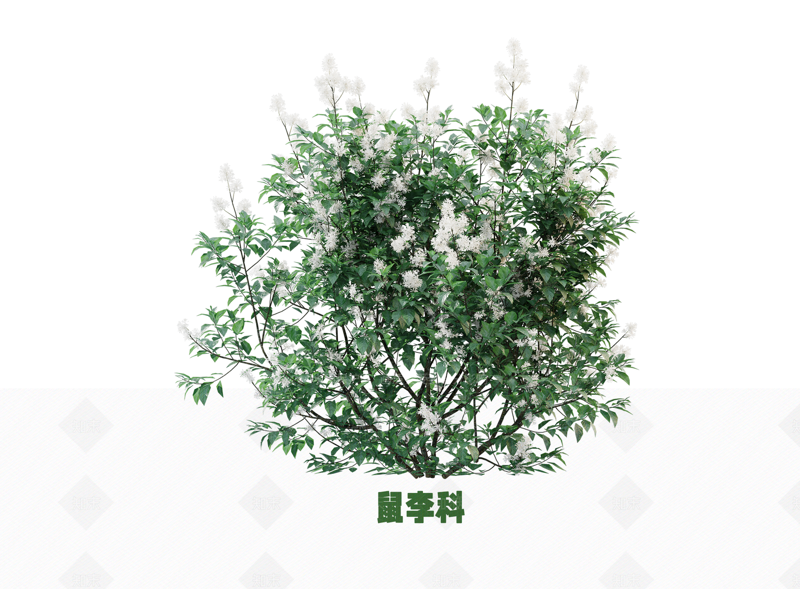 花3D模型下载【ID:1203109410】
