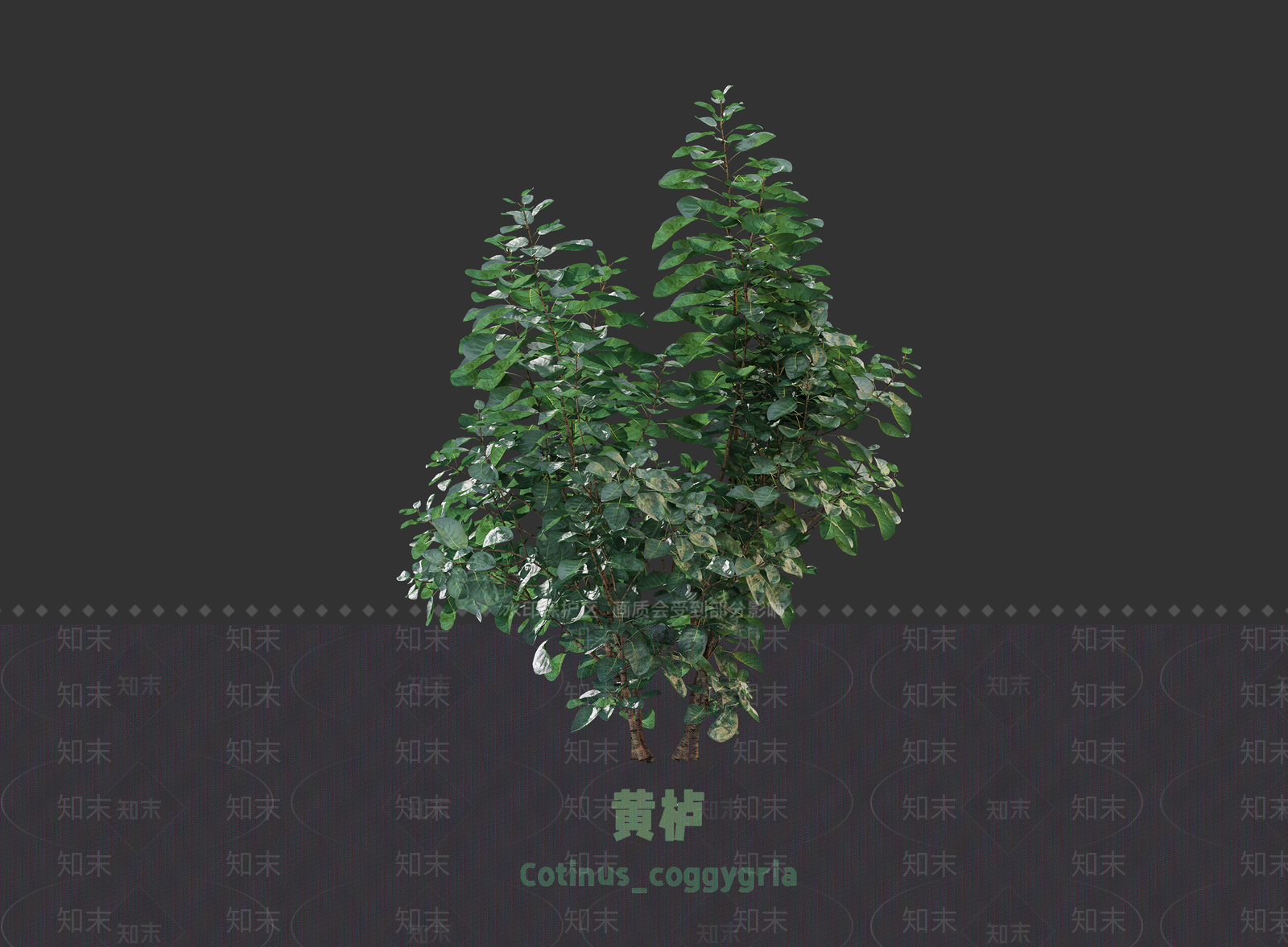 灌木SU模型下载【ID:1203110970】