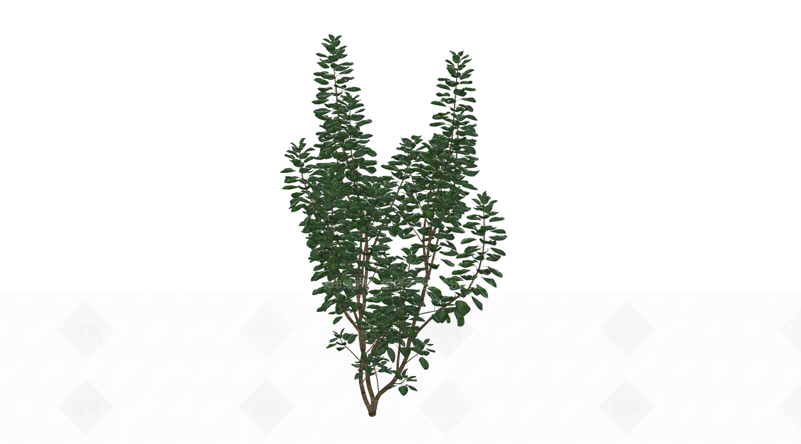 灌木SU模型下载【ID:1203111384】