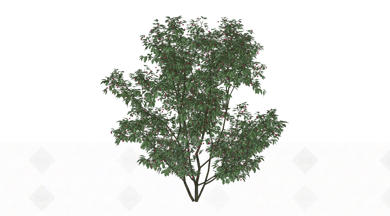 灌木SU模型下载【ID:1203118515】