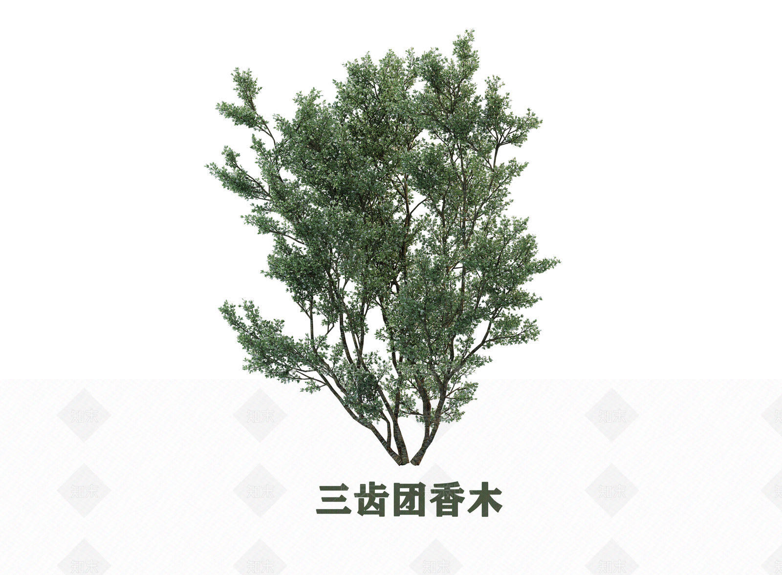 灌木SU模型下载【ID:1203119122】