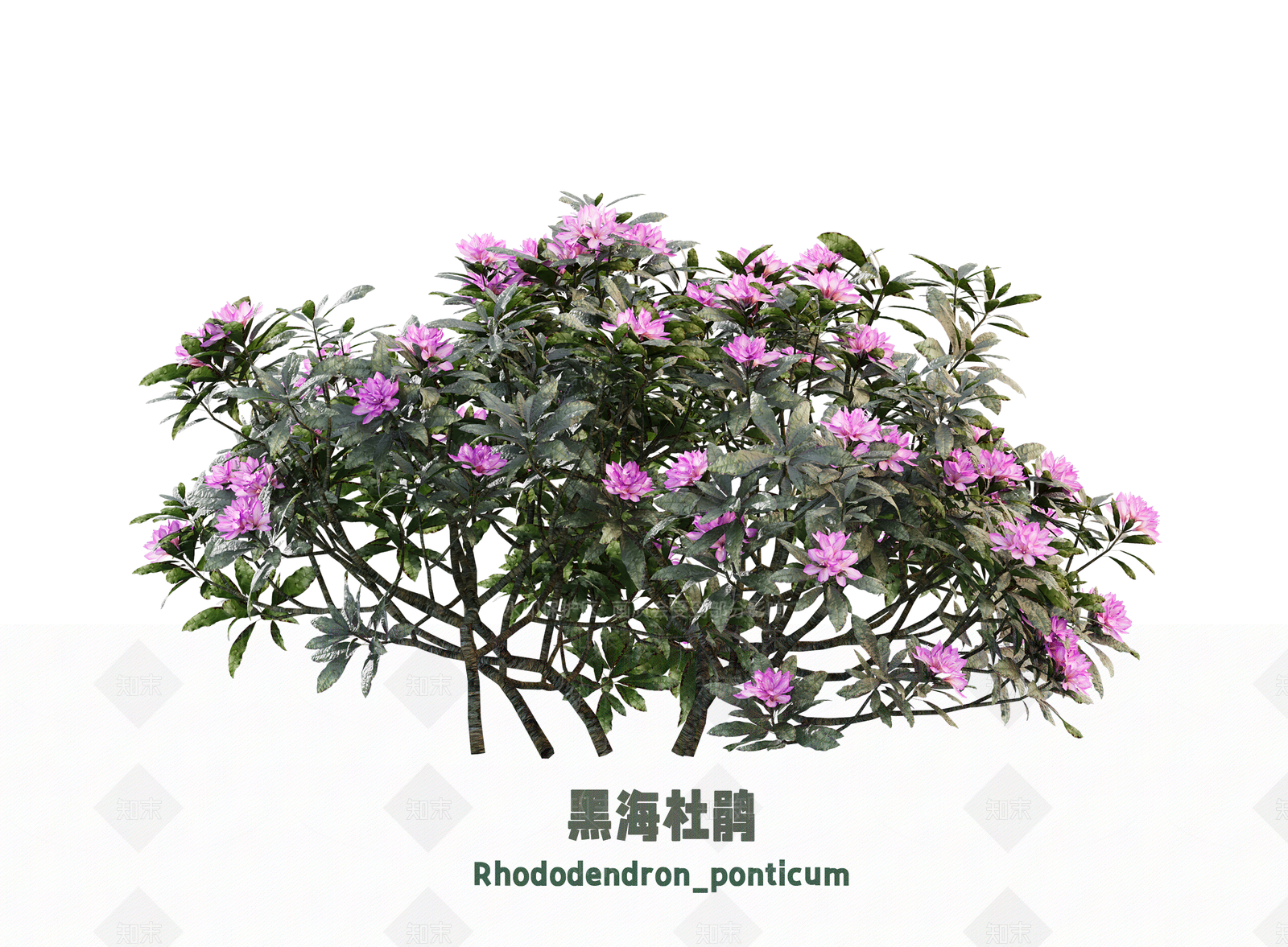 花3D模型下载【ID:1203119207】