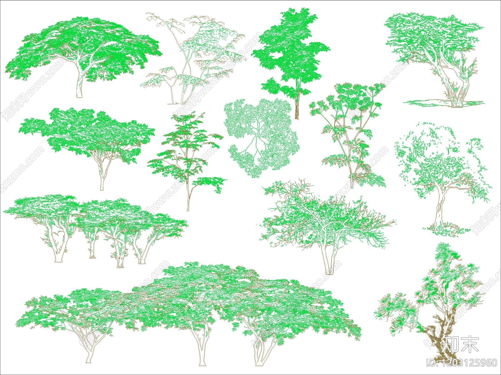 乔木种植施工图下载【ID:1203125960】