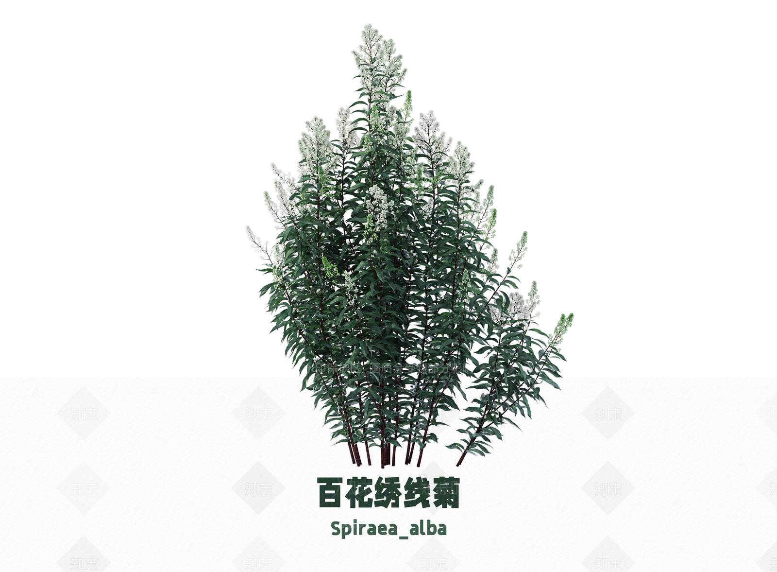 花草SU模型下载【ID:1203198246】