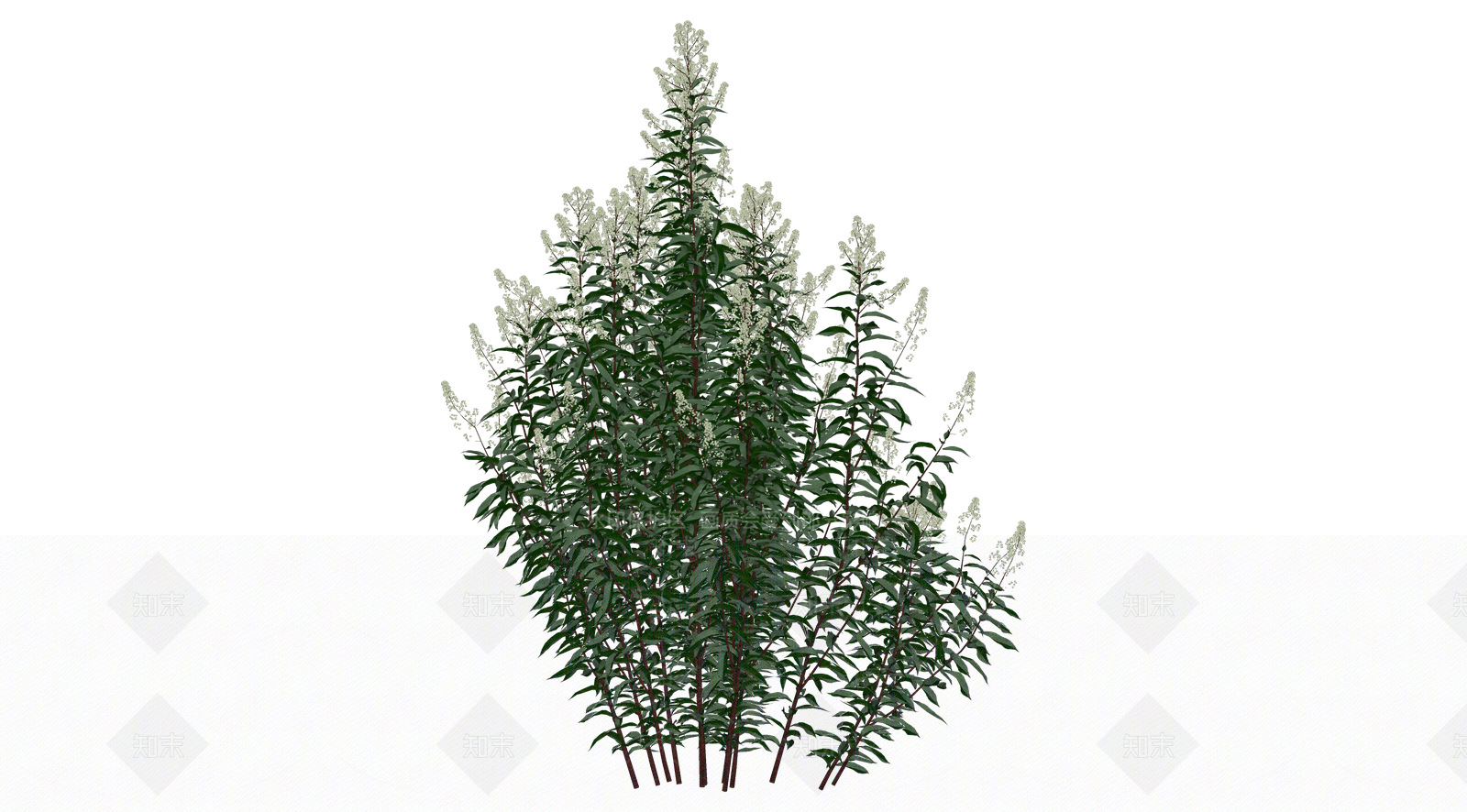 花草SU模型下载【ID:1203198246】