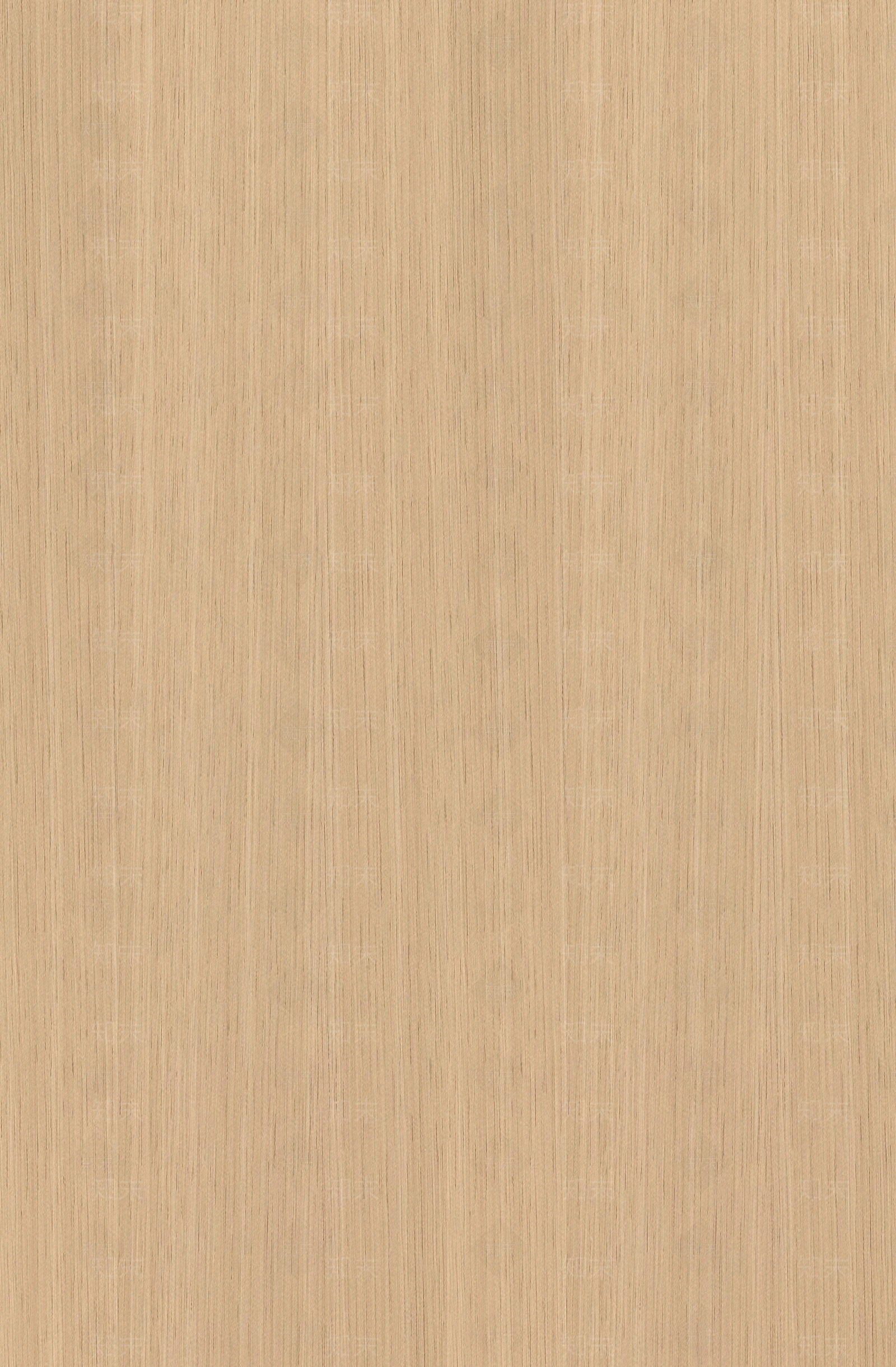 现代橡木木纹贴图下载【ID:1203205521】