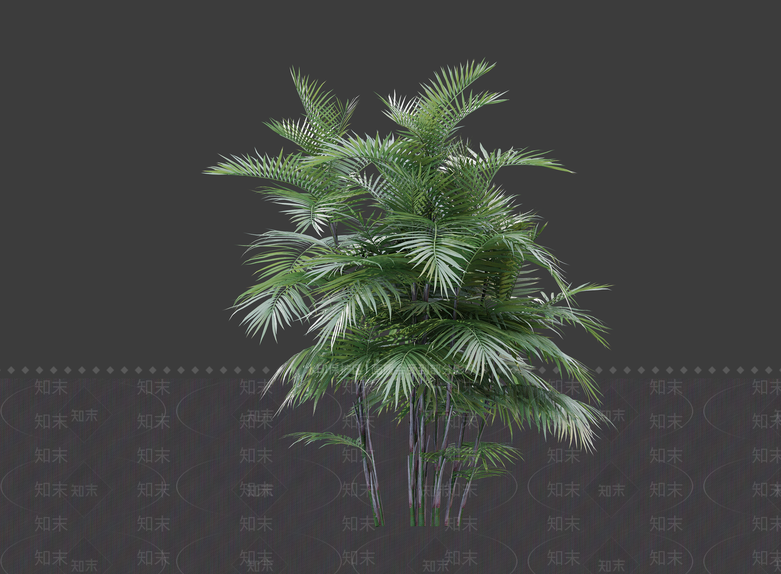 花草SU模型下载【ID:1203206609】