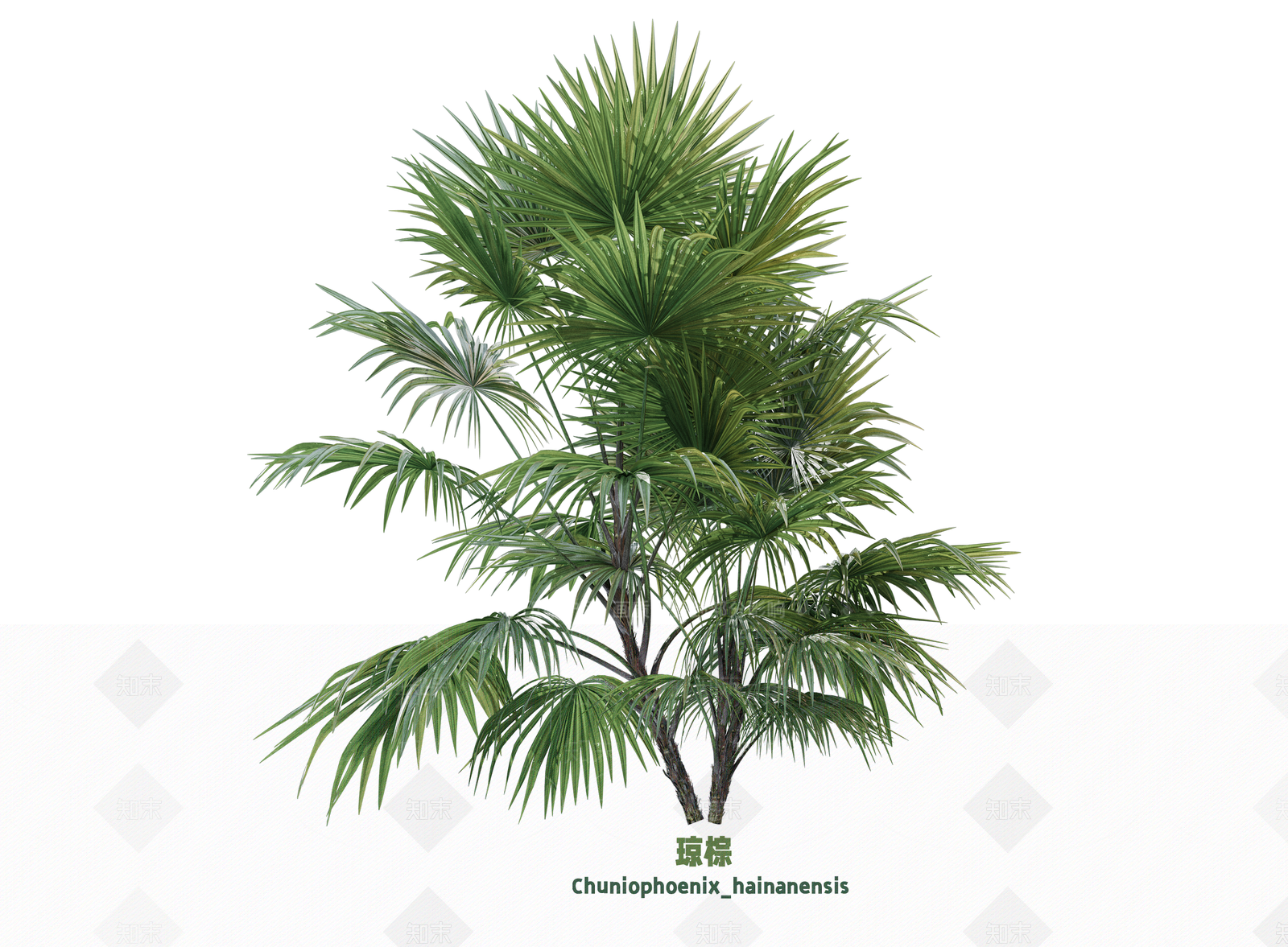 花3D模型下载【ID:1203208272】