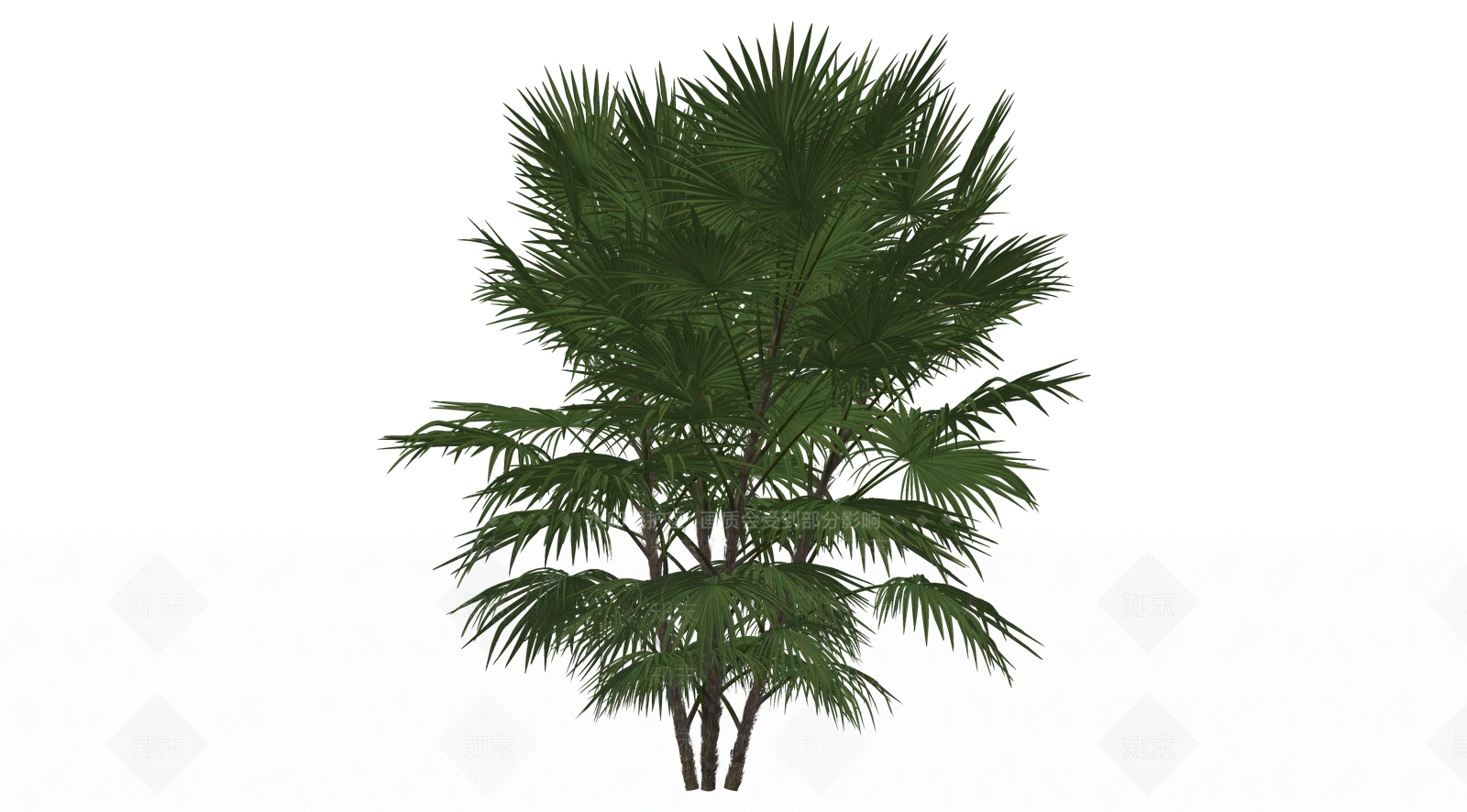 花草SU模型下载【ID:1203208474】