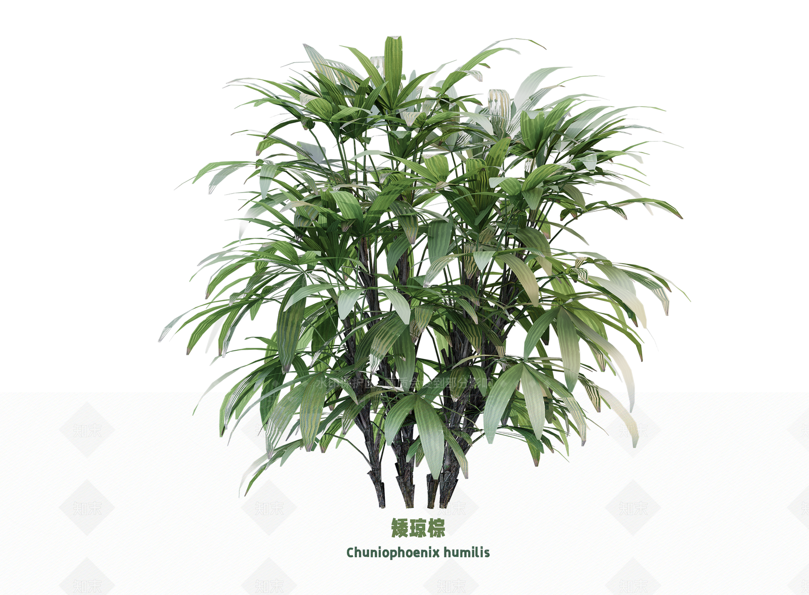 现代花草SU模型下载【ID:1203208695】