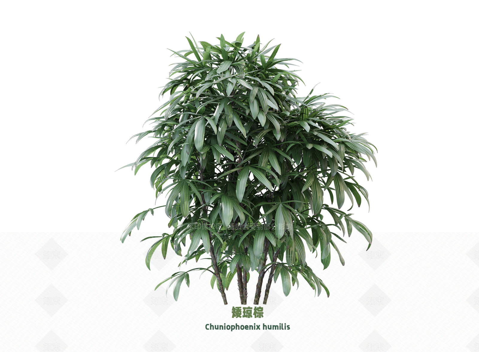 花3D模型下载【ID:1203208851】