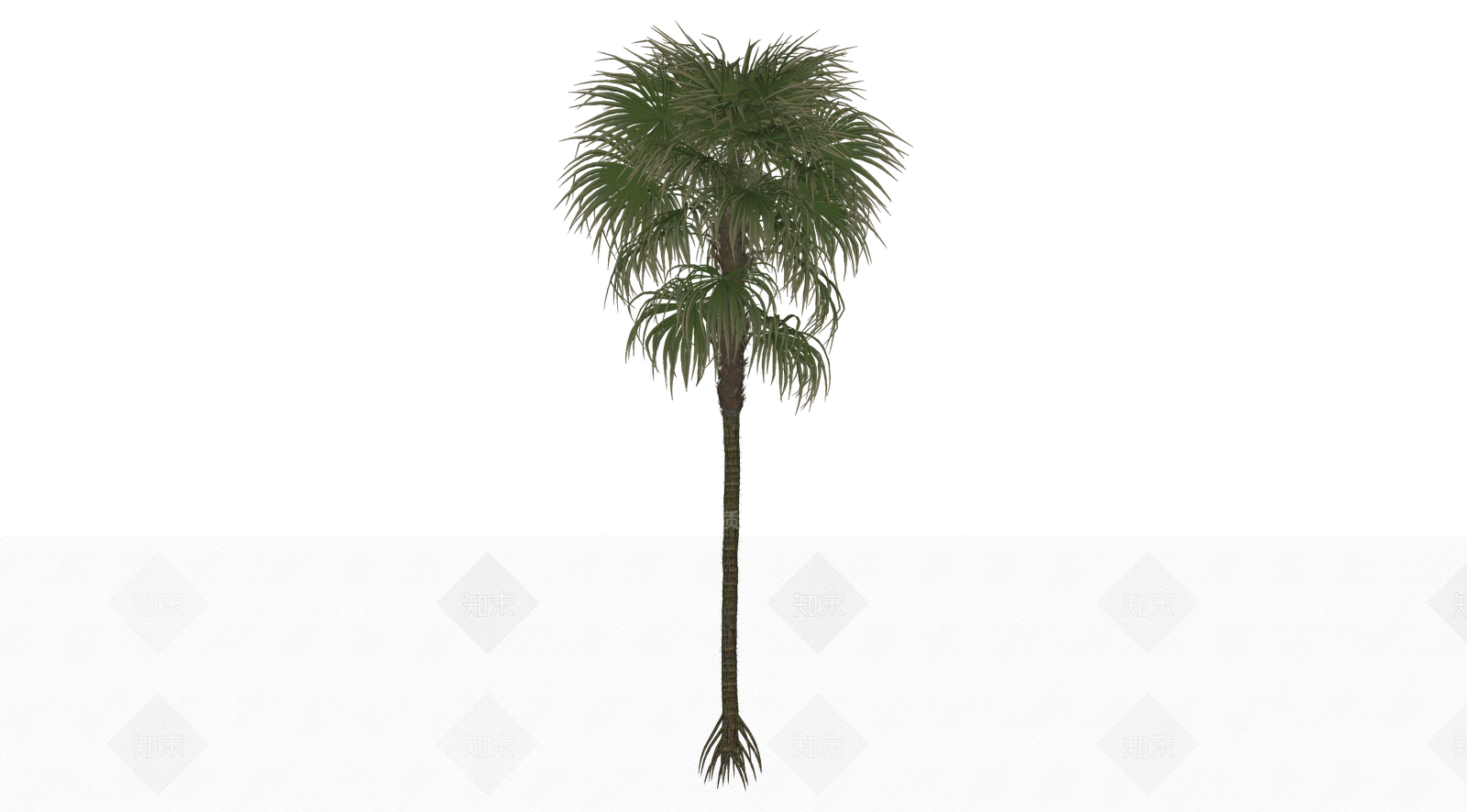 乔木SU模型下载【ID:1203210646】