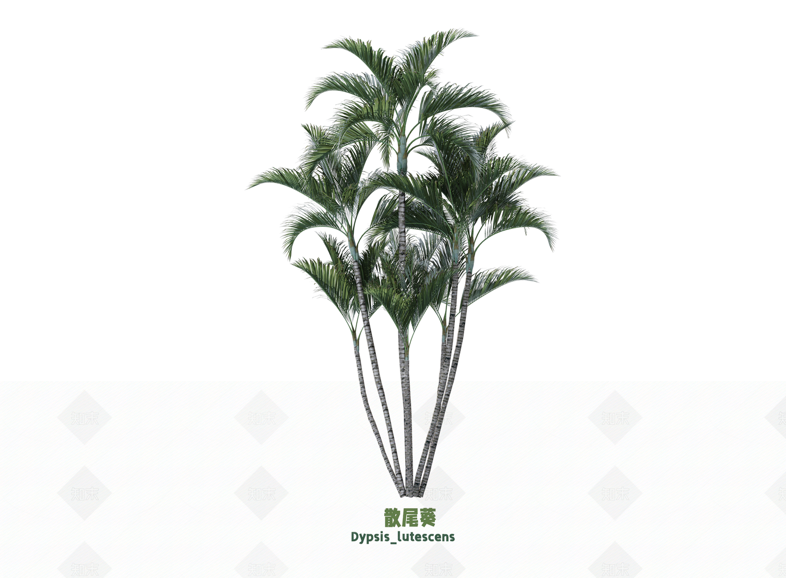 灌木SU模型下载【ID:1203210799】