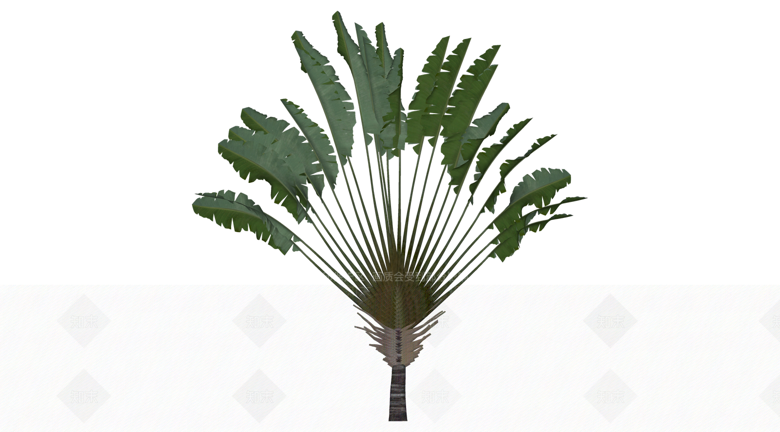 花草SU模型下载【ID:1203211857】